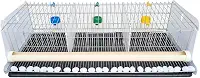 Gaiola para codorna completa