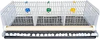 Gaiola para codorna completa