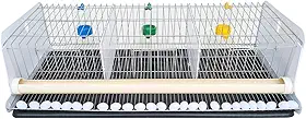 Gaiola para codorna completa