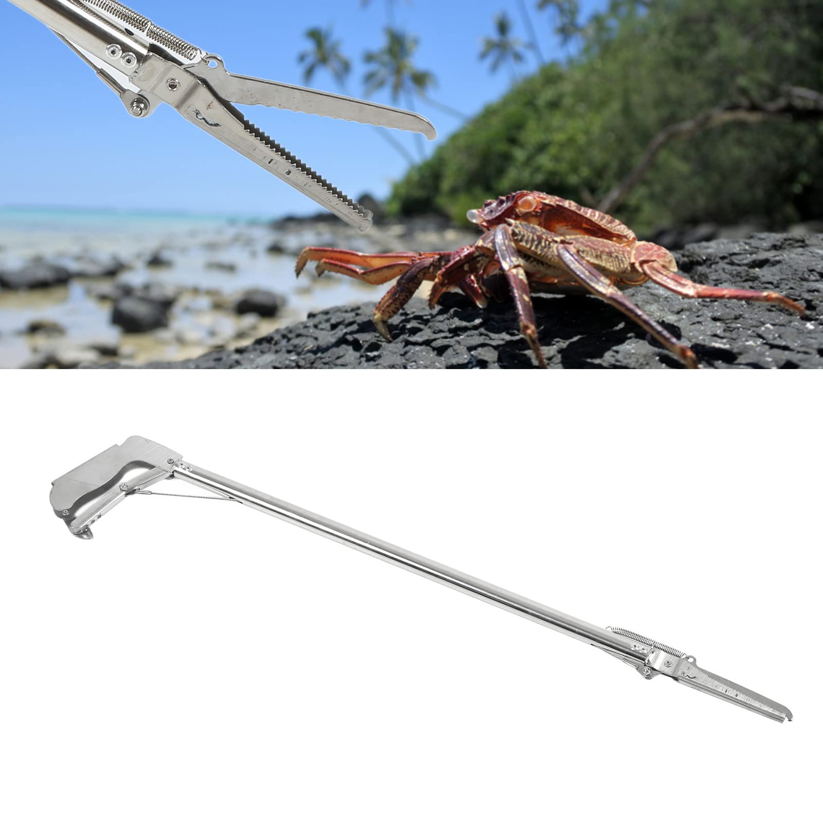 Schiaccia Granchio GUTEINTE - Pinza Per Crostacei, In Metallo - Foto 6