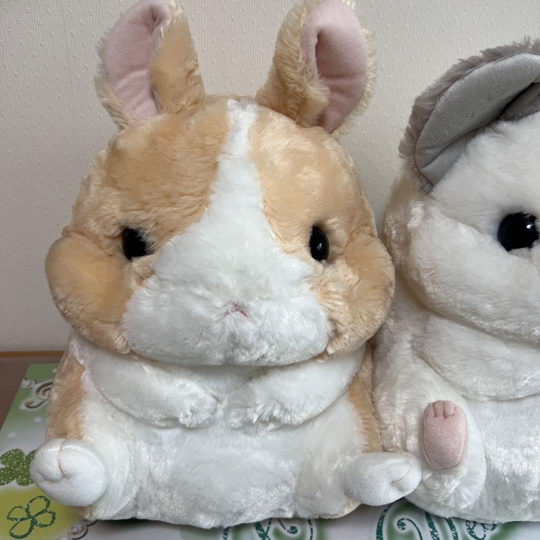 Amazon.co.jp: ころはむコロン チラくん、ちびぴょん BIGぬいぐるみ