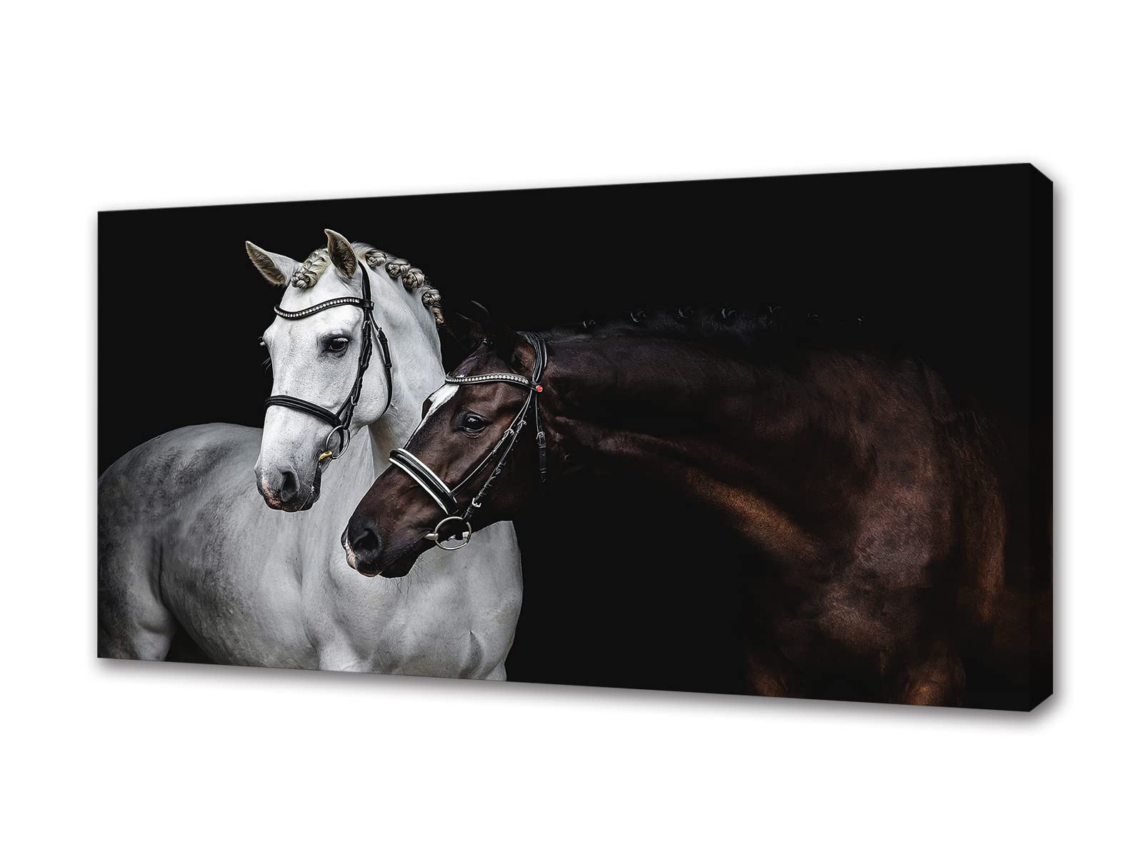 Jiuqinghua Wall Art Canvas Print Picture White and Brown Horses 1 Panel Wild Animal Painting Artwork for Living Room Bedroom Office Home Wall Decor Stretched and Framed Ready to Hang 30x60inches