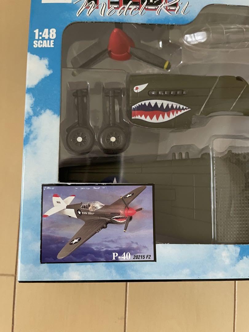 Amazon.co.jp: NEW RAY PILOT.KIT P40(戦闘機) : おもちゃ