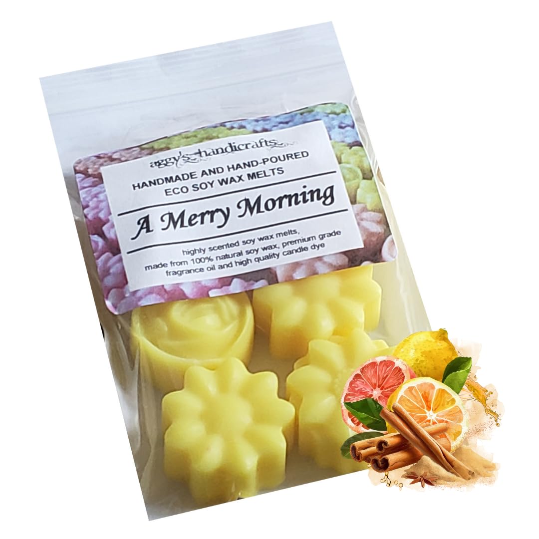 Highly Scented Soy Wax Melts (A Merry Morning) — image 1