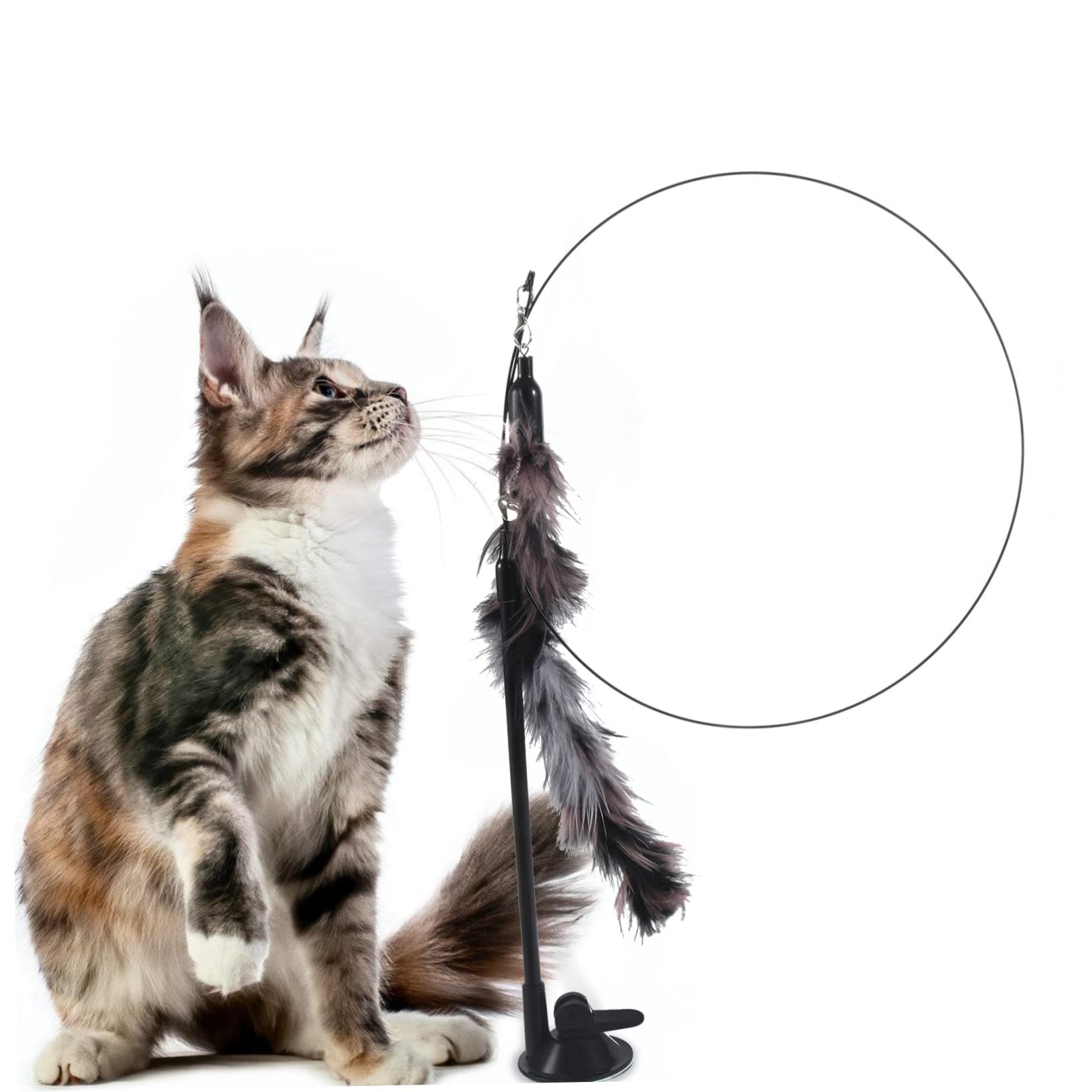 FRCOLOR Jouet Interactif pour Chat Intérieur avec Détachable Et Ventouse Stimule La Curiosité Et Exercice des Félins De Âges