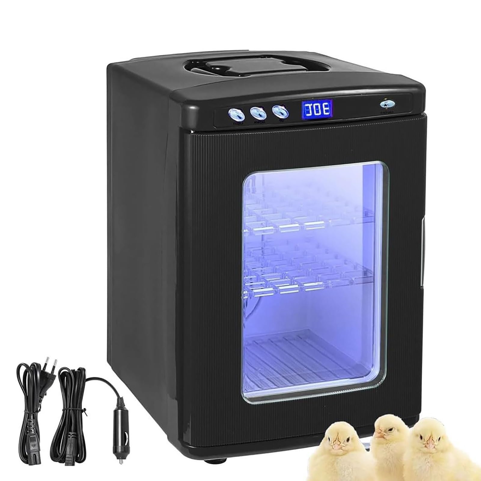 Incubateur pour reptiles avec chauffage 5-60 °C pour réussite des œufs