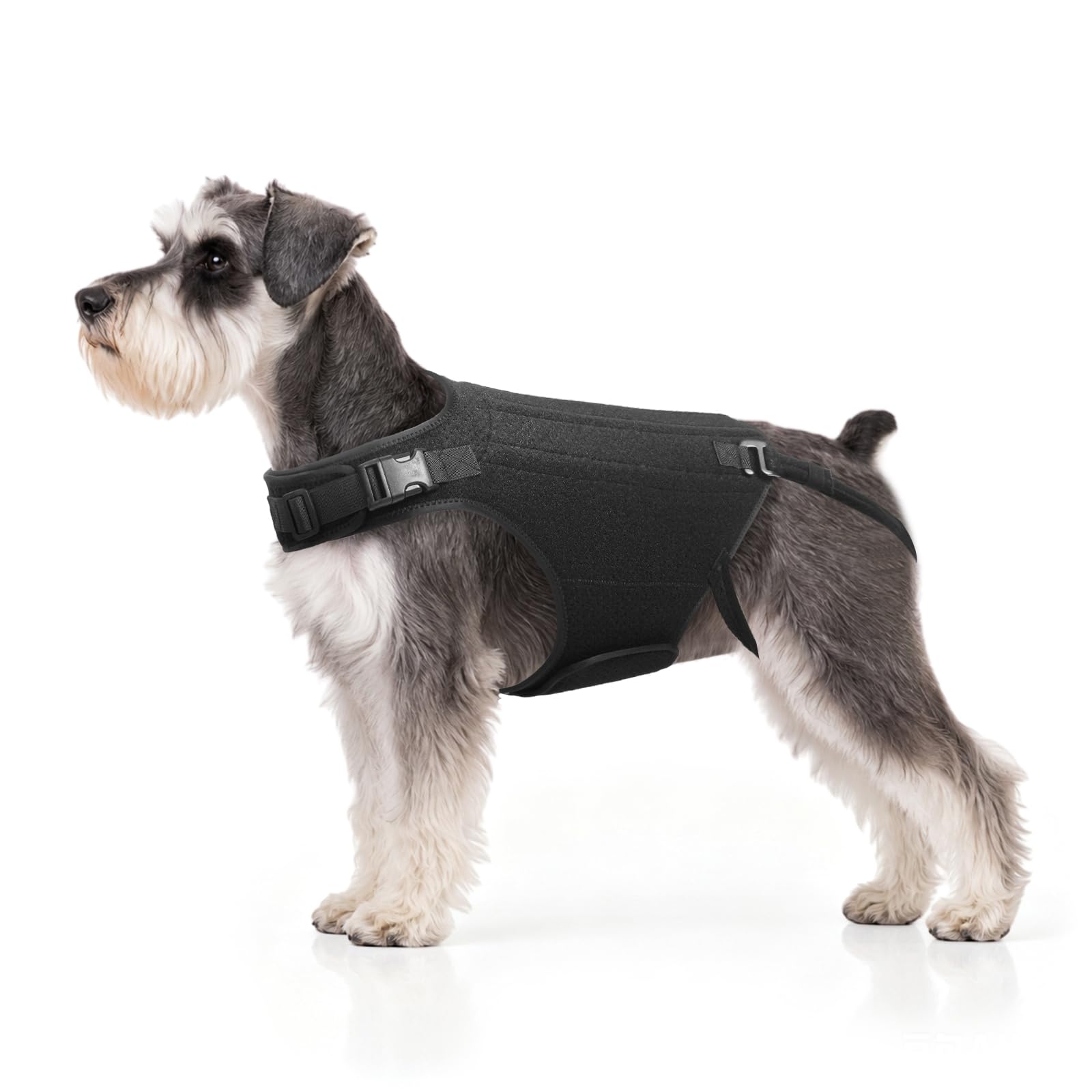 Photo 1 of HAGGEMI Dog Back Brace for IVDD - Small, Black