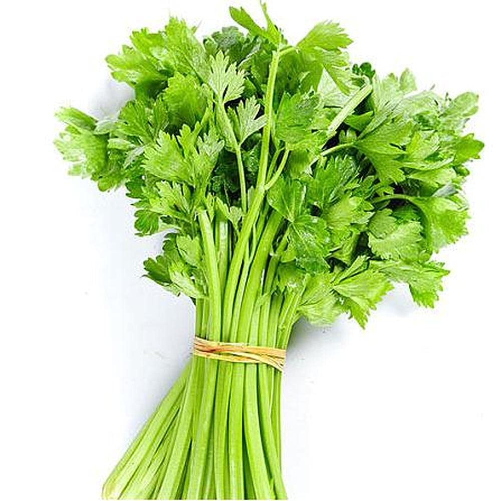 100pcs Celery Seeds Planted in Garden Courtyard Has Ornamental Value and  Economic Value Easy to Care Enjoy The Joy of Harvest : Amazon.ae: Patio,  Lawn & Garden