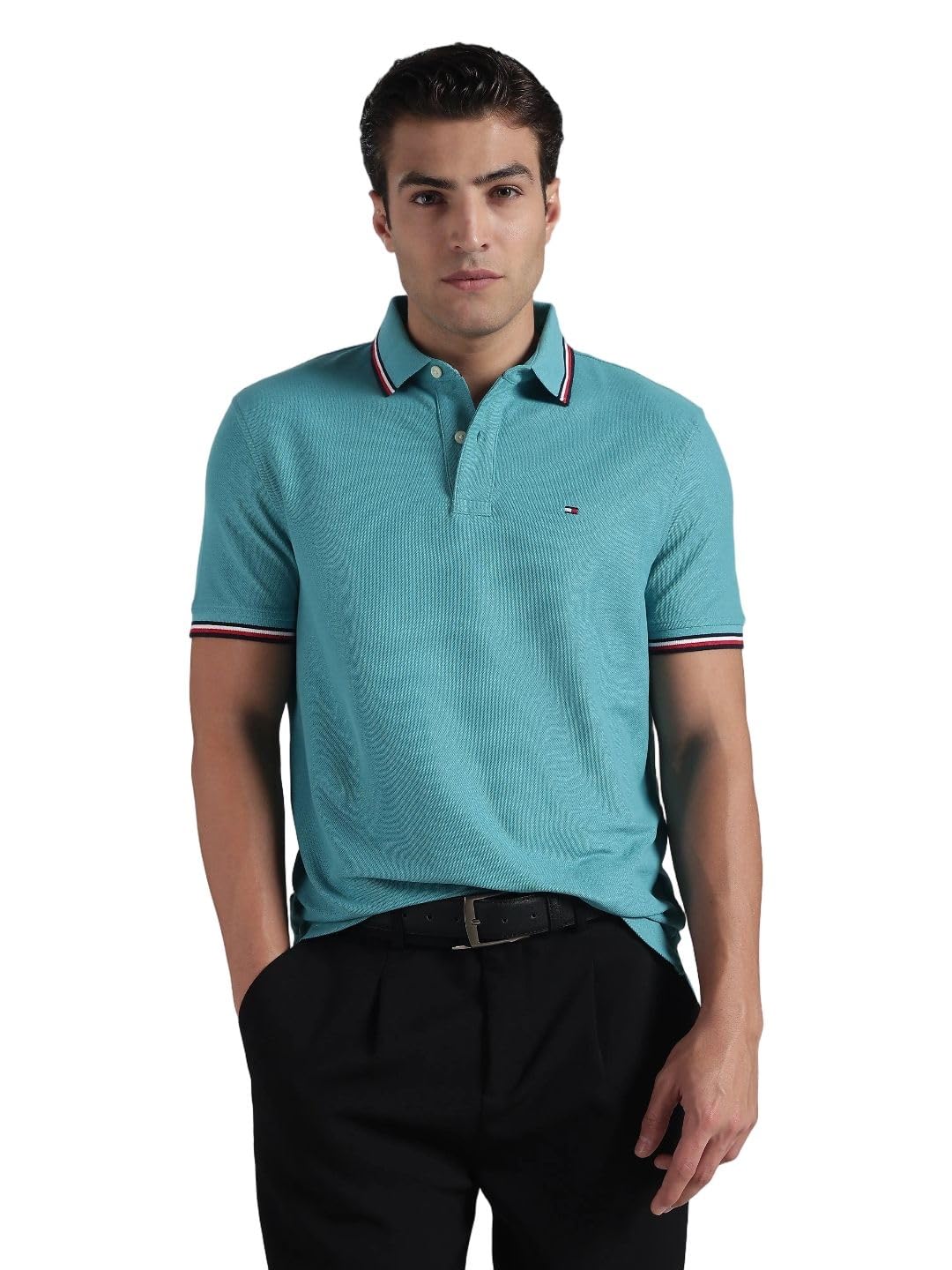tommy hilfiger Men Cotton Solid Regular-Fit Polo T-Shirt-picture-35