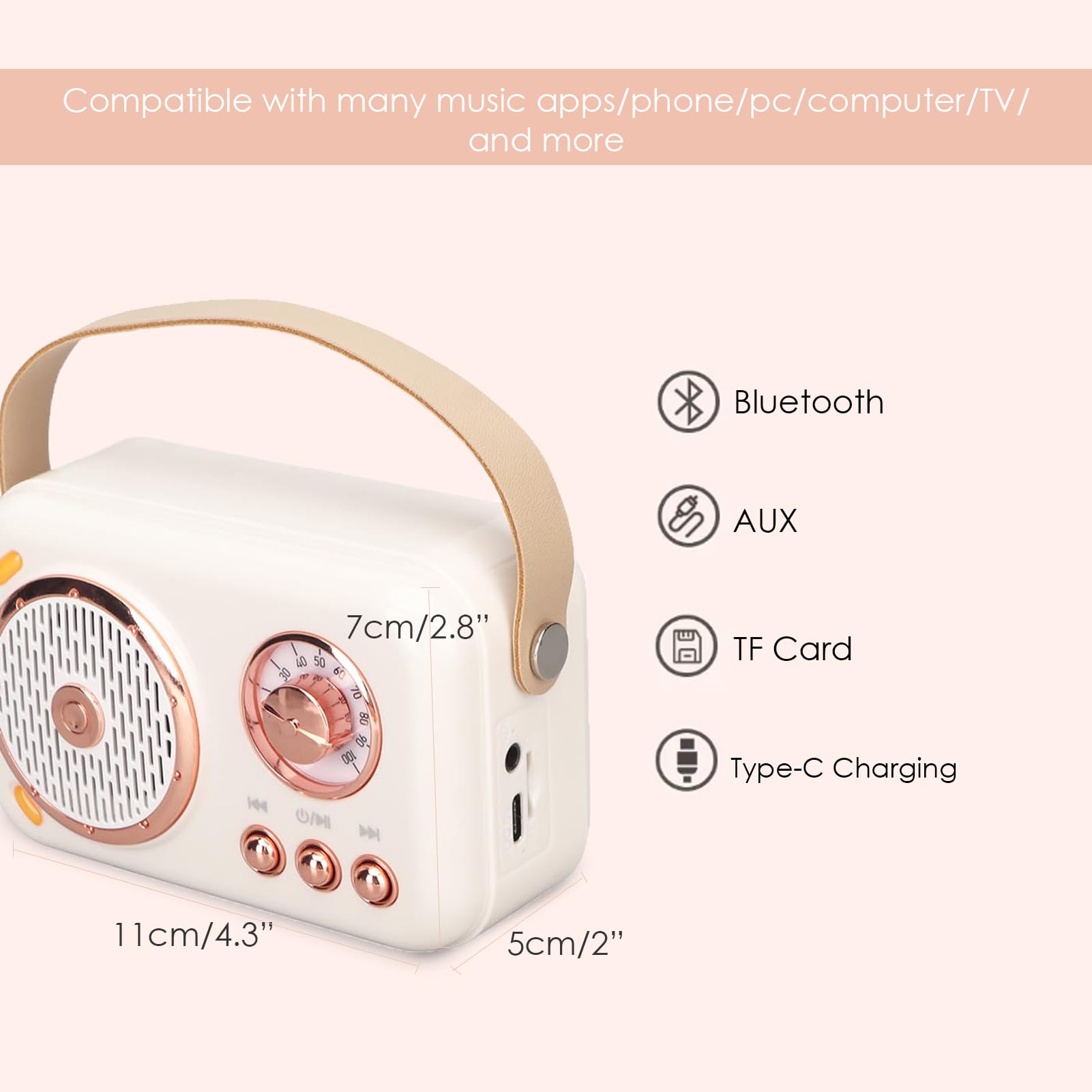 Mini Macchina per Karaoke con Set di Microfoni Wireless, Altoparlante Bluetooth retrò Portatile Bianco, Supporto AUX, TF Card, per Feste per Bambini Adulti