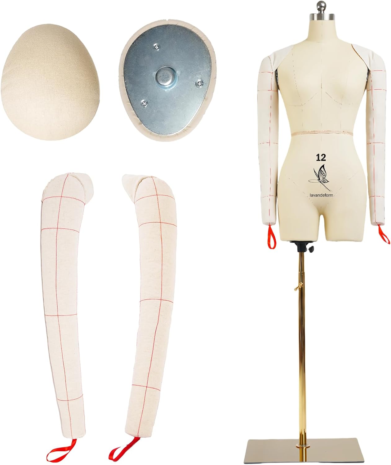 Female Dress Model Torso Body Clothing Forms,Size 12 Professional Dress Form for Display and Tailor DesignSewing Mannequin Foam Body for Pinning. (with Arms Beige, 12)