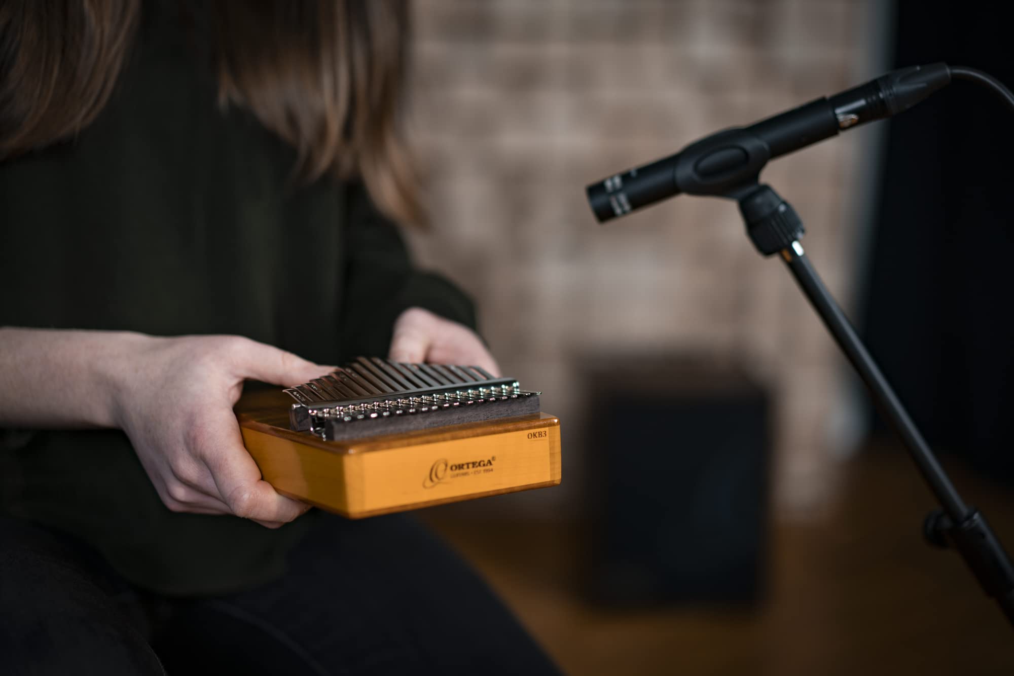 Ortega Kalimba Pollice Piano acustico Lizard Series 17 note Do Maggiore Meditazione LoFi Custodia Deluxe