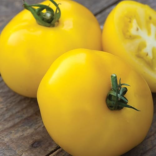 Miniatura 2 de Burpee Híbrido 'Sunny Boy', tomate amarillo para rebanar, 30 semillas sin OMG