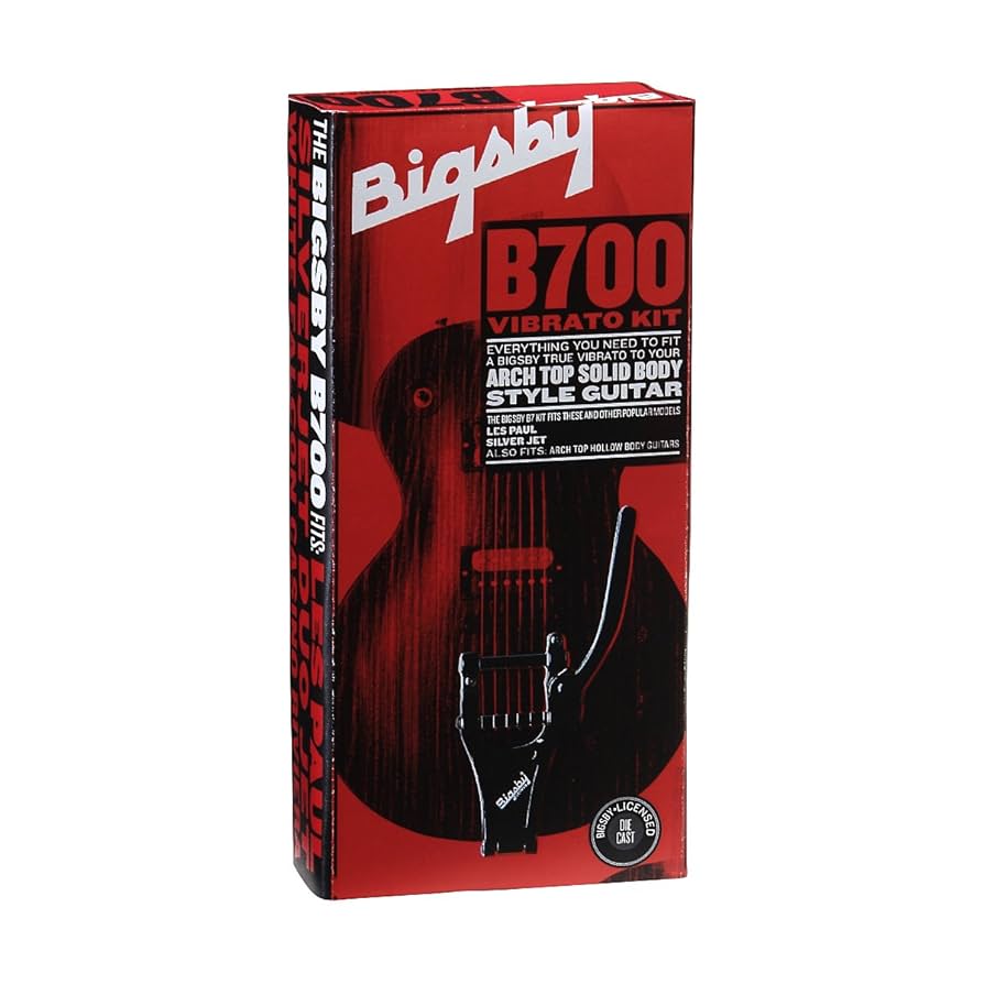 Amazon.com: Bigsby B700 Vibrato Tailpiece, Hollow Body Arch