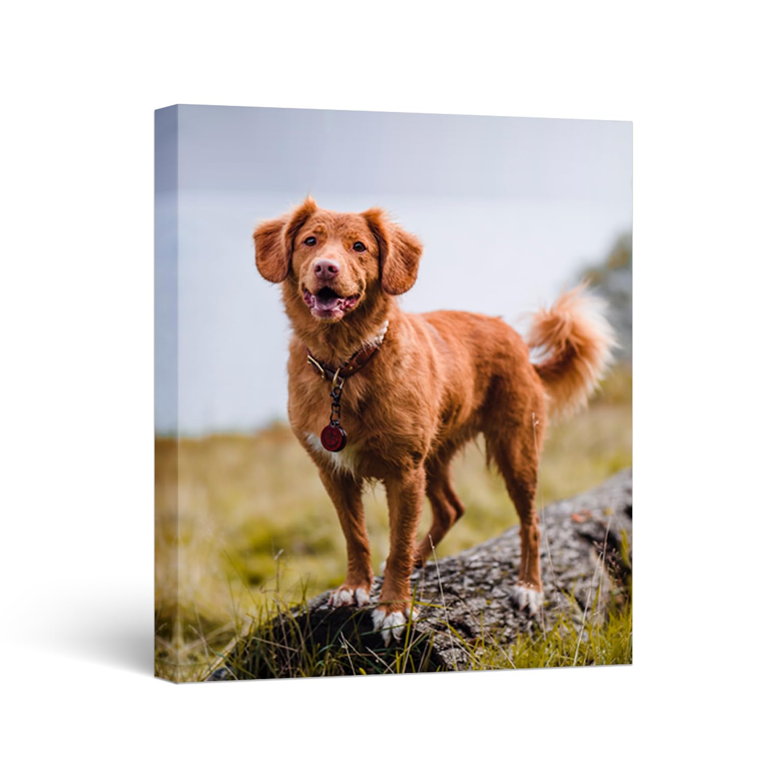 WEGA Custom Canvas Prints with Your Photos(11'' W X 14'' H Framed) Personalized Canvas Wall Art for Bedroom,Living Room,HomeOffice,Chrismas Photo