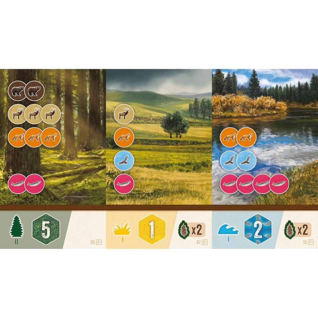 AEG Alderac Entertainment | Cascadia Rolling Hills Jeu de Société en Anglais pour Toute la Famille | Jeu de Stratégie avec Dés pour 1-4 Joueurs | La Faune du Nord-Ouest Pacifique