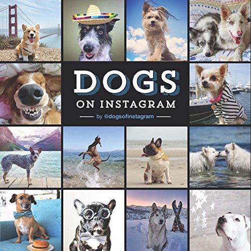 cadeau chiens