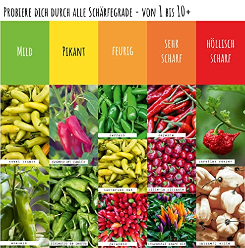 VALEAF Chili zaden set - 12 scherpe tot milde zaden van chilipepers van de hoogste kwaliteit - van Carolina Reaper zaden… - Afbeelding 3