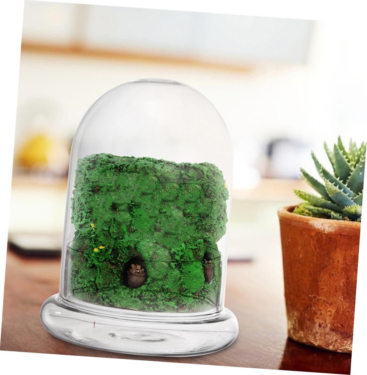 2pcs Glass Terrarium Planter with Lid Eco-Friendly Micro Landscaping Container for DIY Plants Lightweight and Durable Decorative Glass Bottles