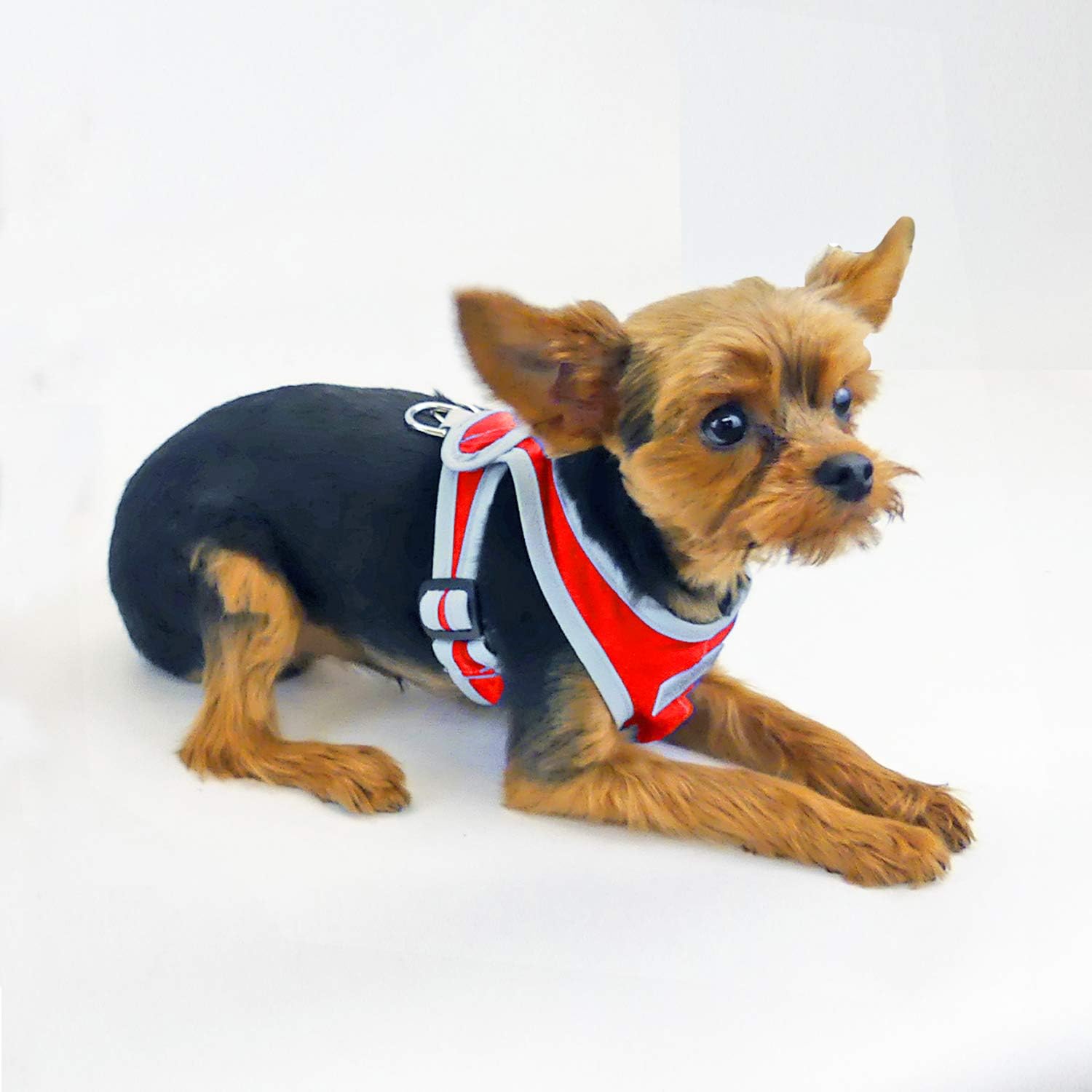 Precision Fit Nylon Step-in Adjustable Dog Harness in Teacup to 40 LBS Vest Easy On Adjustable XXXSmall Toy Puppies to Large Soft Walking Doggy Wrap Vest (1101) (XSmall - Red)