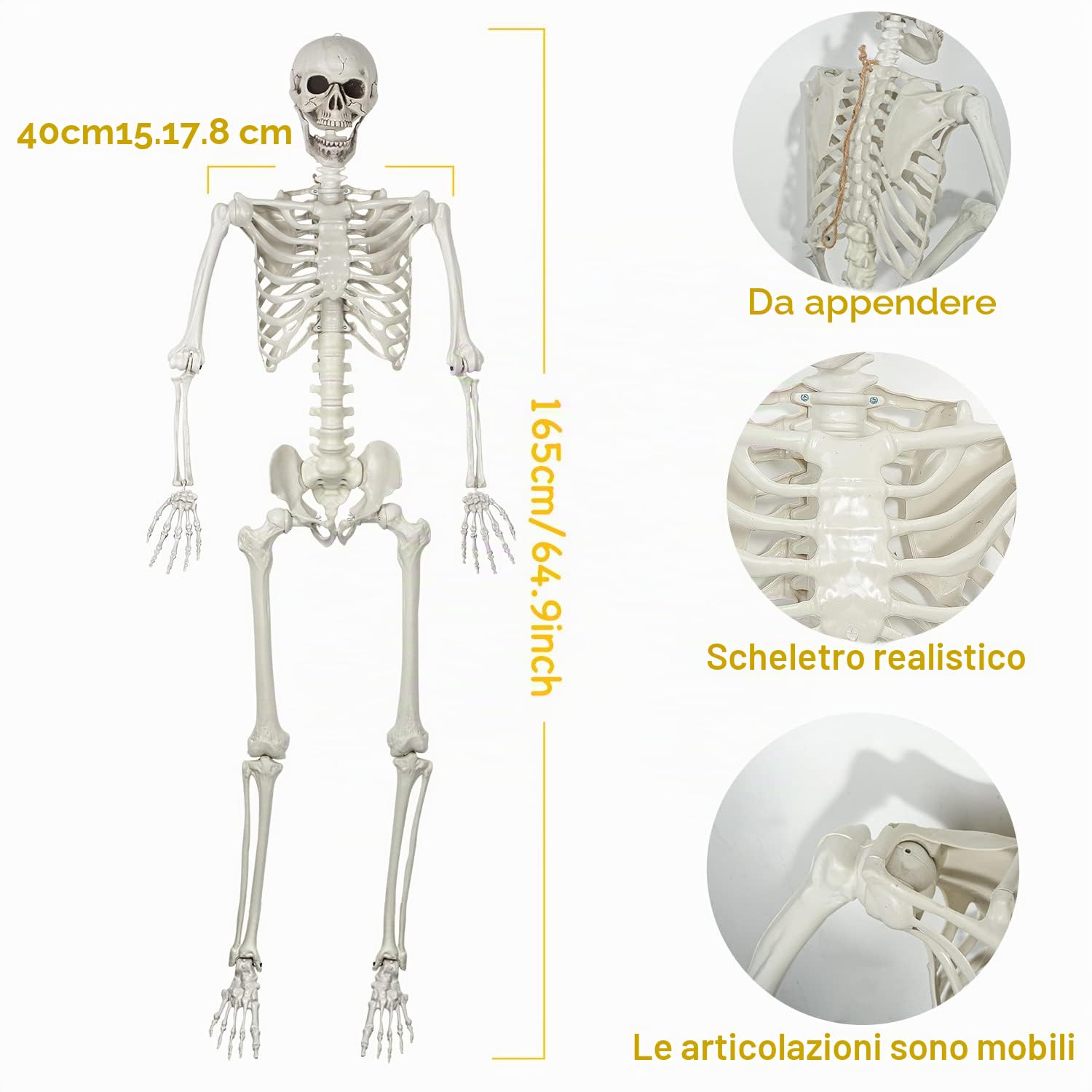 Scheletro di Halloween 165 cm realistico dimensione di vita posable scheletro umano con articolazioni mobili per Halloween decorazione casa infestata (1)