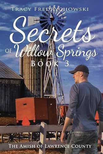 Secrets of Willow Springs - Book 3: The Amish of Lawrence County