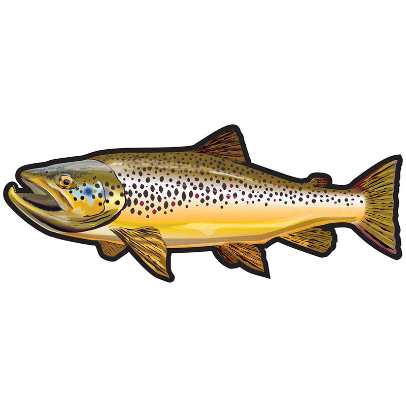 MACMRD Car Stickers Wild Brown Trout Sticker Boat Kayak Car Bumper Decals Fishing Car Sticker Fishing Art Waterproof Car Styling