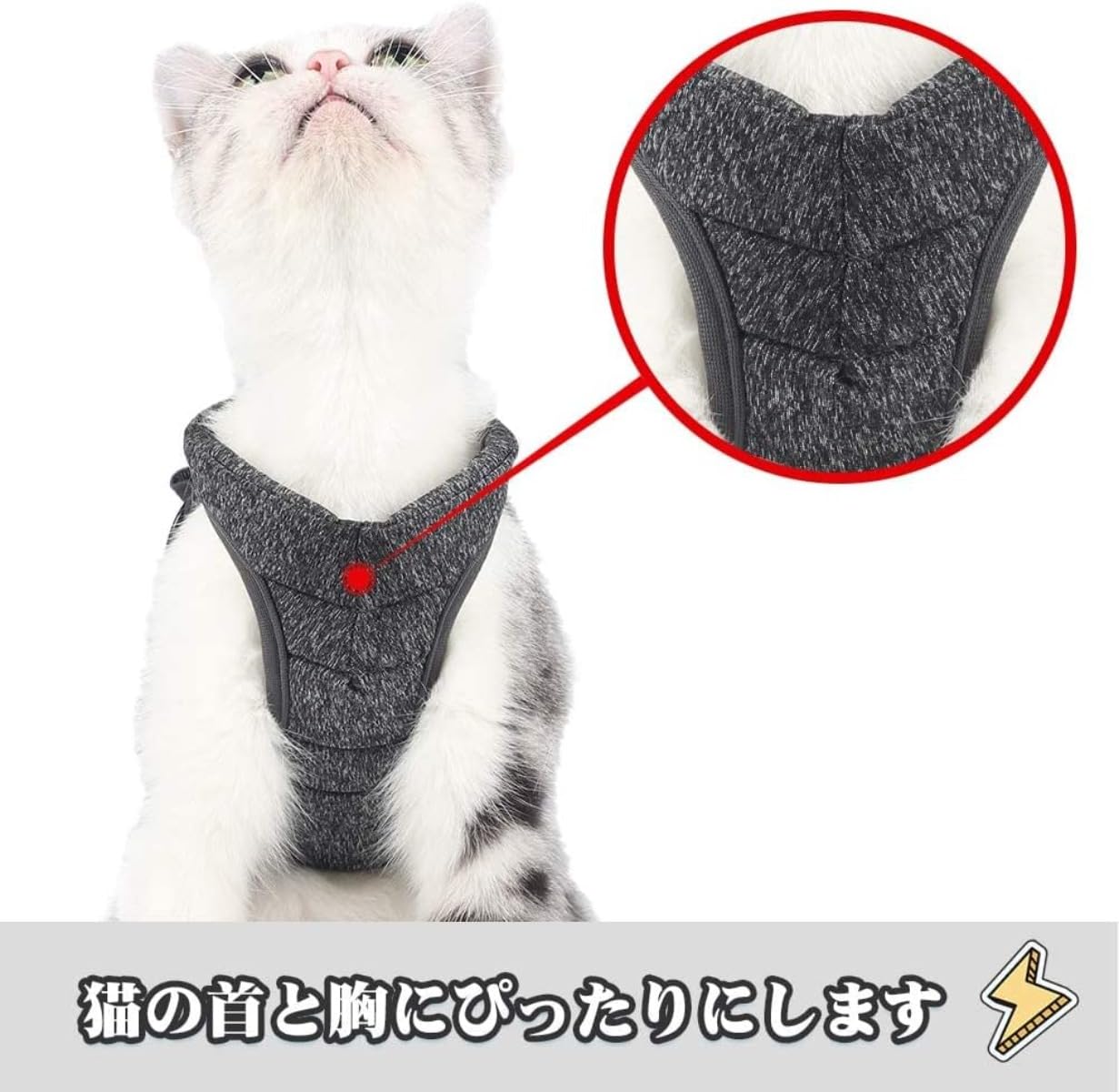 Amazon.co.jp: 猫用ハーネス 胴輪 安全首輪 猫リード ペット用