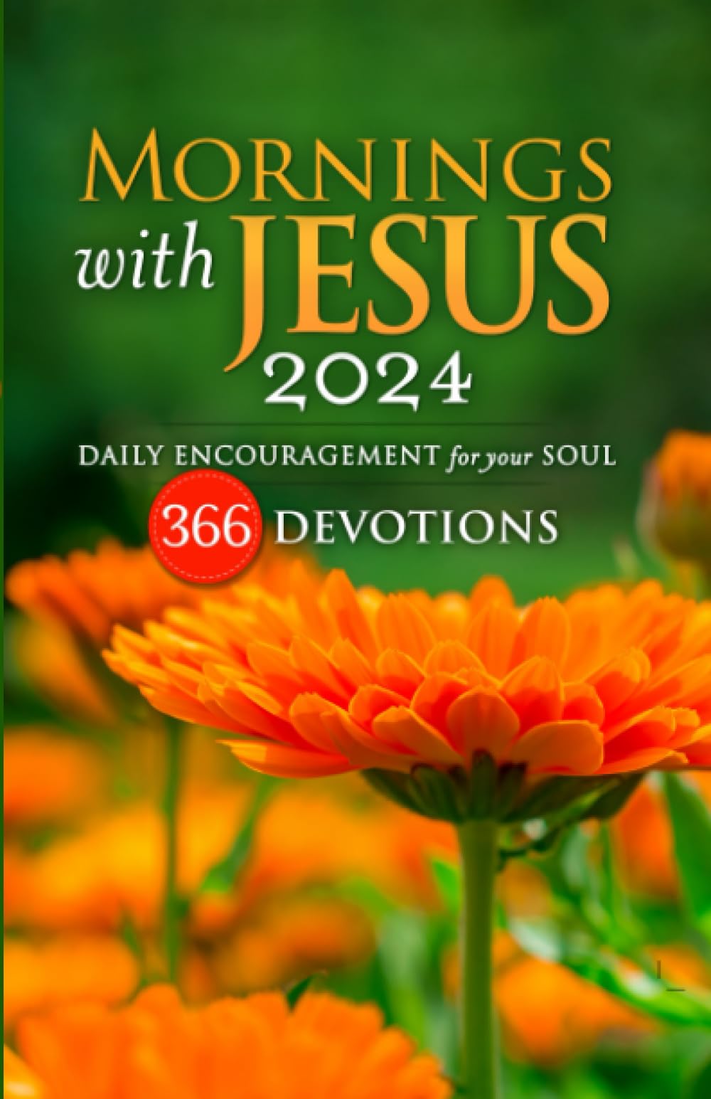 Mornings with Jesus 2024: Daily Encouragement for Your Soul