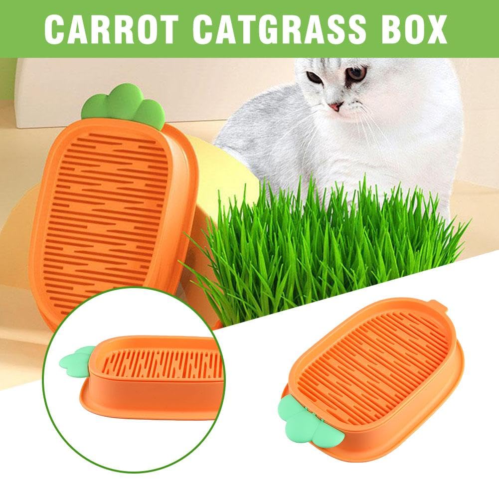 Kit de Culture d'Herbe à Chat Biologique - Plateau de Plantation Hydroponique en Herbe de Blé pour Chats d'Intérieur, Boîte de Germination d' Herbe Sans Terre pour Animaux, Non Inclus, Idéal pour la Kit de Culture d'Herbe à Chat Biologique - Plateau de Plantation Hydroponique en Herbe de Blé pour Chats d'Intérieur, Boîte de Germination d' Herbe Sans Terre pour Animaux, Non Inclus, Idéal pour la