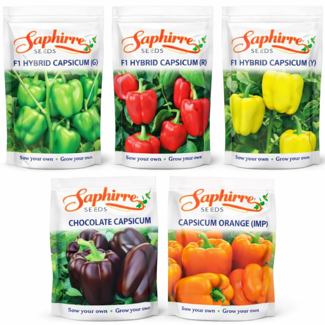 Saphirre Seeds Easy to Grow Capsicum Seeds Combo| 5 Different Varieties (Red, Yellow, Green, Brown, Orange)| 250+ Seeds| Seeds for Home Garden| 90%+ Germination Rate-image-14