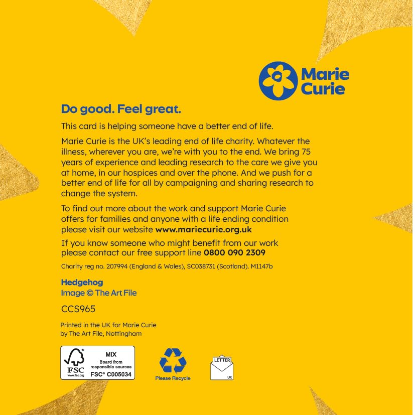 Marie Curie Hedgehog Christmas Greeting Cards 14x14cm Pack of 10 with Envelopes 100% FSC Board Made in UK - Image 2
