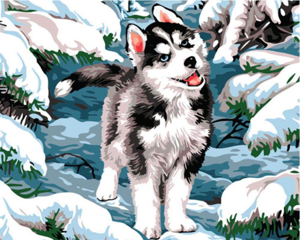 Peinture par numéro anti-stress kit complet de peinture guidée sur toile motif chien