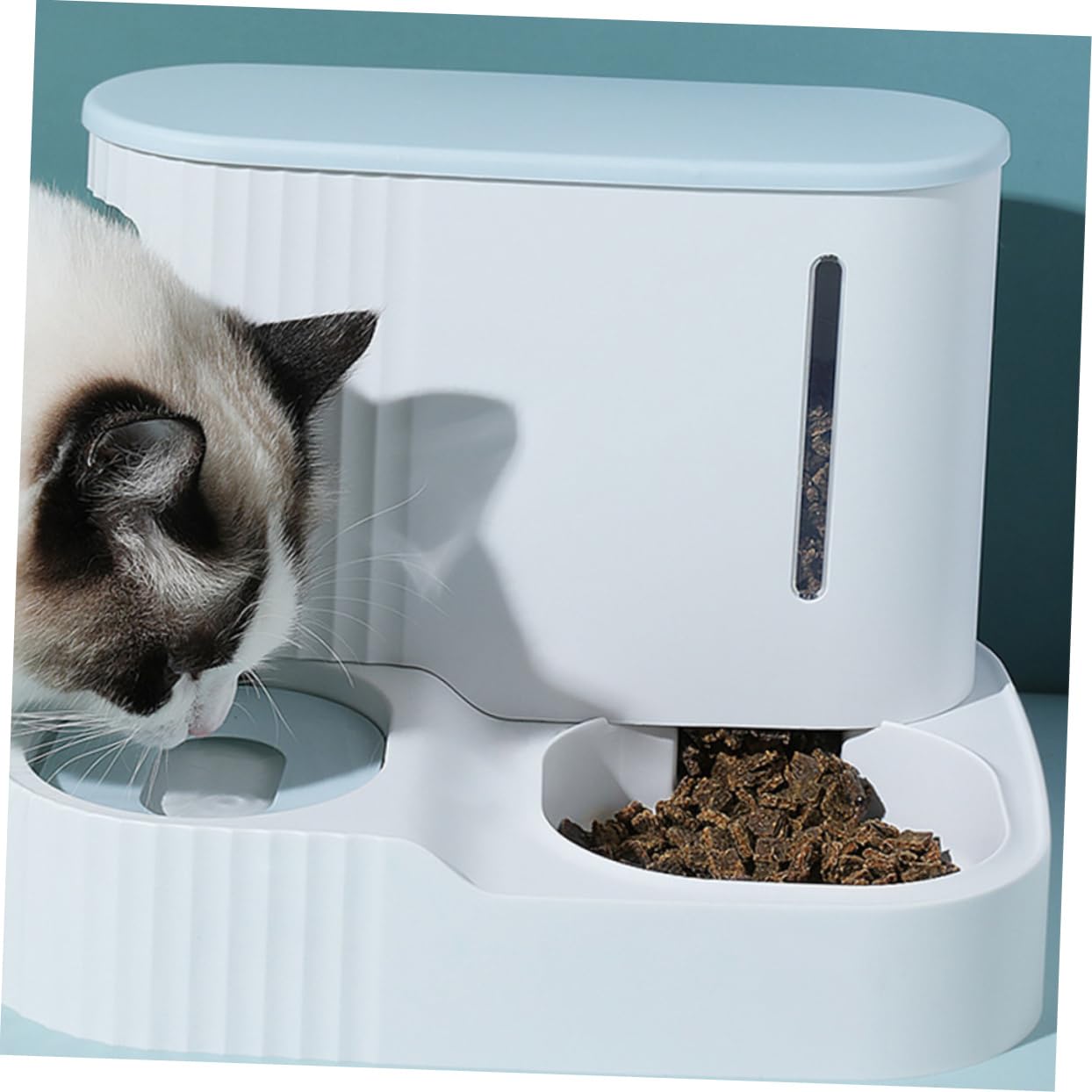Kisangel Dispensador De Comida y Agua para Mascotas Tazón Extraíble Bebedero para Gatos De Alimenticio