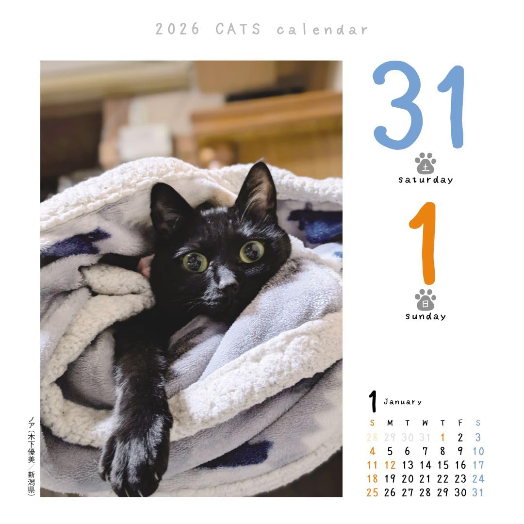 【猫】おまとめ売り2件 猫めくり2026 | 中央経済社／ONDORI ネットストア