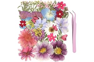 75 Pack Dried Flowers and Butterflies for Resin Molds and DIY Crafts