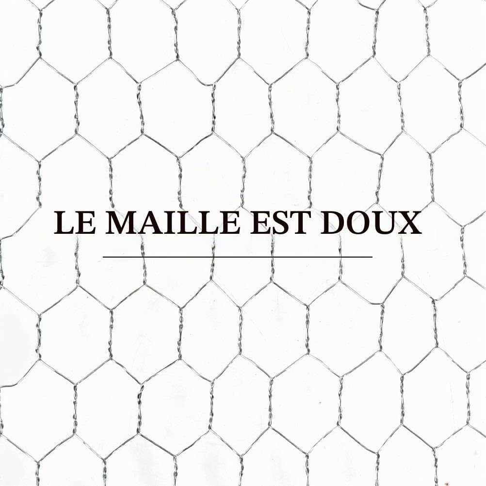 Grillage de Poule, Fil Hexagonal Galvanisé Grillage Poulailler Maille Hexagonal avec Trou de 40cm x 5 m Hexagonal Triple Torsion Clôture Résistant Poulailler Jardin pour Élevage Volaille Galvanise
