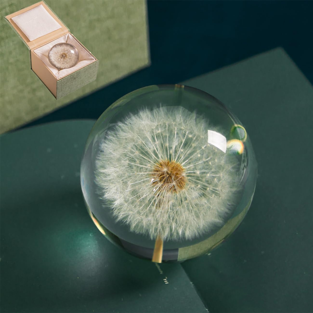 Dandelion Resin Paperweight with Real Flower Encased, Crystal Ball Gift for Home Decor - Handmade Unique Desk Accessory (7/8/9cm Diameter) (7cm)