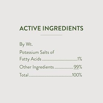 Garden Safe Brand Insecticidal Soap Insect Killer, 32 Fluid Ounces, For Organic Gardening, Kills Bugs Through Contact