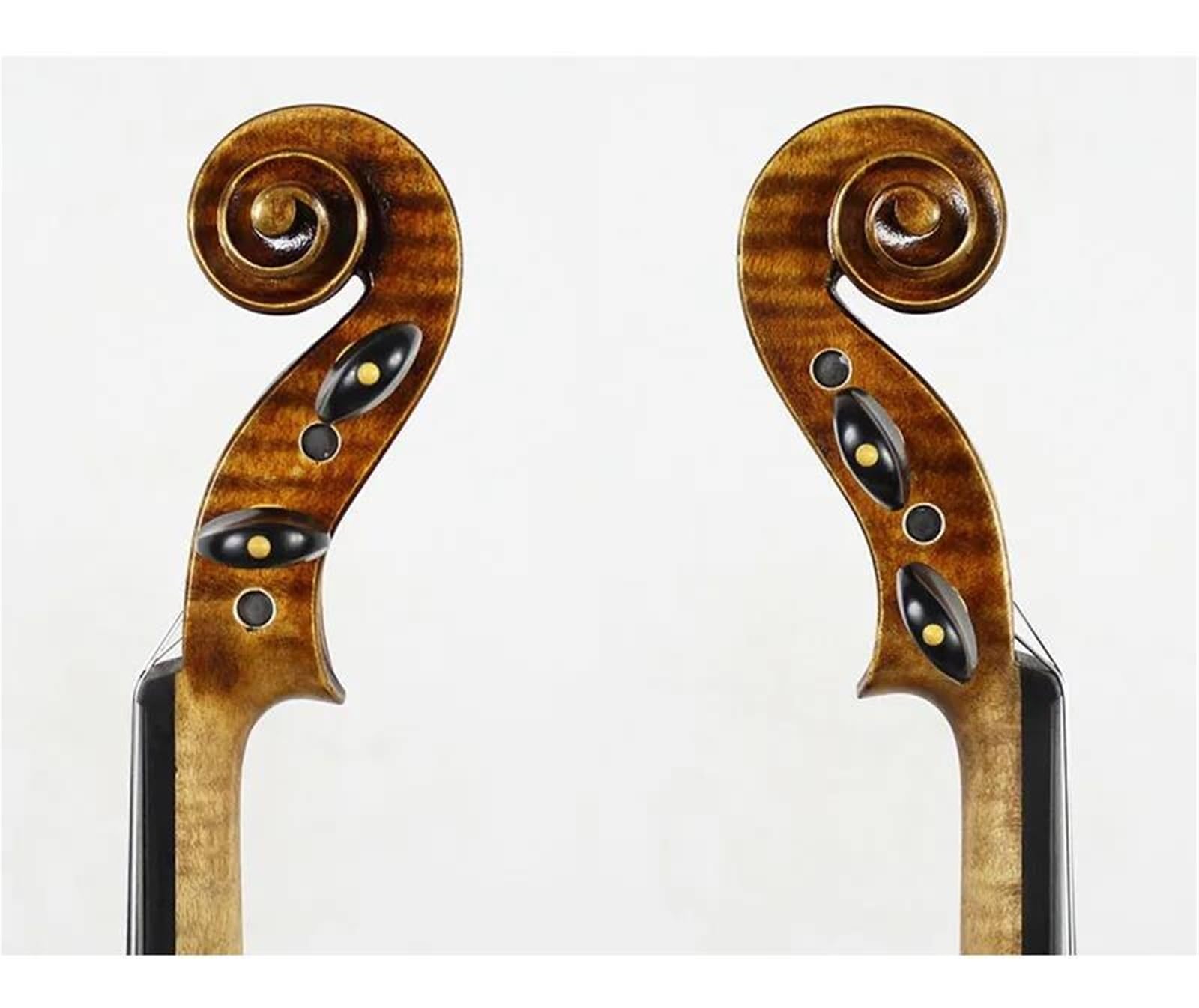 Violino Violino Da Concerto Grado 4/4 | Top in abete, vernice a base di olio