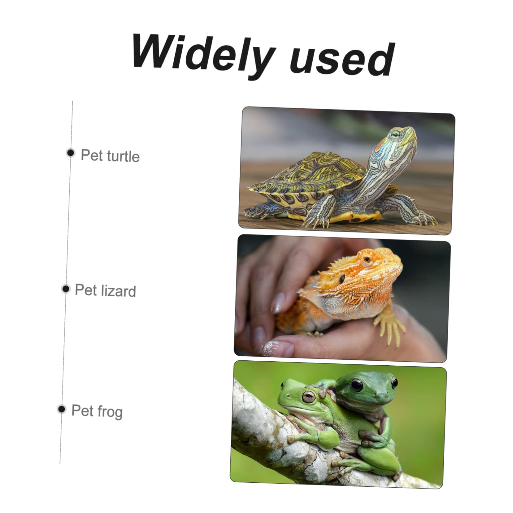 Yardwe 8 Stück Reptilien Teppich Eidechsen Einstreu Reptilienkäfig Teppich Reptilien Tank Auskleidung Gecko Matte Eidechsen Terrarienbehälter Schlangen Teppich Bettwäsche