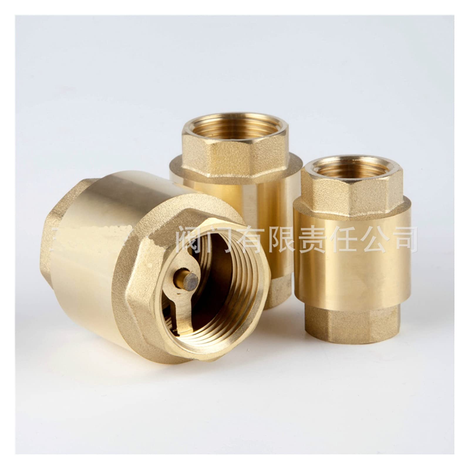 Raccords de tuyauterie 1/2 "DN15 DN20 DN25 DN25 DN32 1 pouce Femme Valve anti-retour, laiton en ligne Spring Vanne Vertical Valve Vertical pour l'huile d'huile d'eau raccord gaz