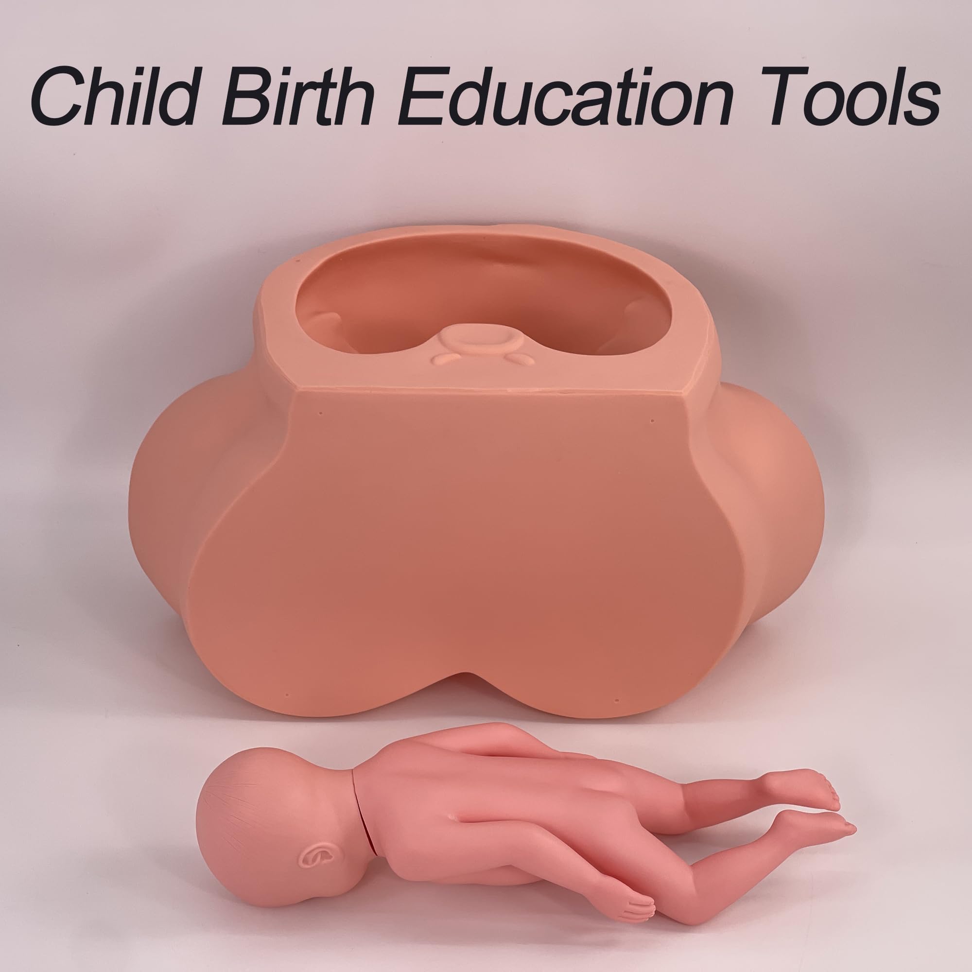 Amazon.com: DRXRD Life Size Child Birth Simulator Model, Dystocia