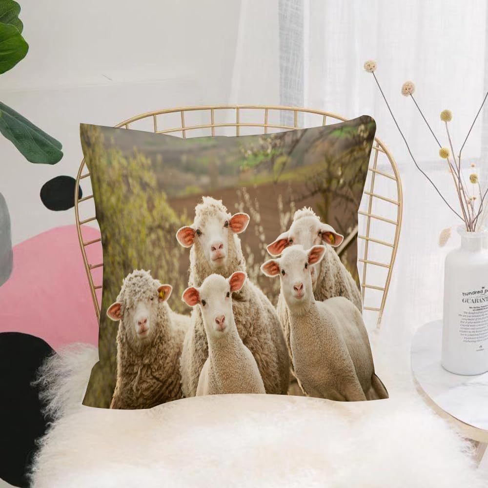 HYOSXW Cushion Cover,Throw Pillow Case Home Decorative for Living Room Bedroom Sofa Chair 16X16 Inch,A group of comfortable sheep in the countryside，Sheep in Natural Landscapes，Gen,Pillowcase 40X40cm