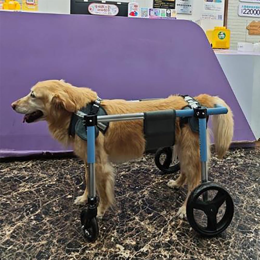 Adjustable Pet Wheelchair for Dogs – All-Aluminum Mobility Aid, 4-Wheel Support, Push-Button Fit, Dual-Bearing Tires, Rear Harness Groove for Small Medium Large Breeds(M)