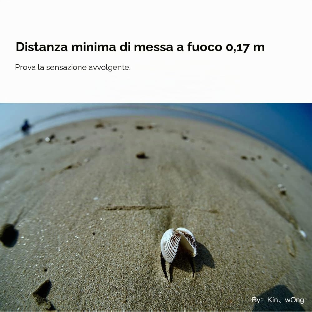 TT Artisan Fisheye - Obiettivo 11 mm f 2.8, compatibile con Sony E Mount ultra grandangolare per formato full frame in alloggiamento in alluminio, angolo di visione 180 gradi, Nero