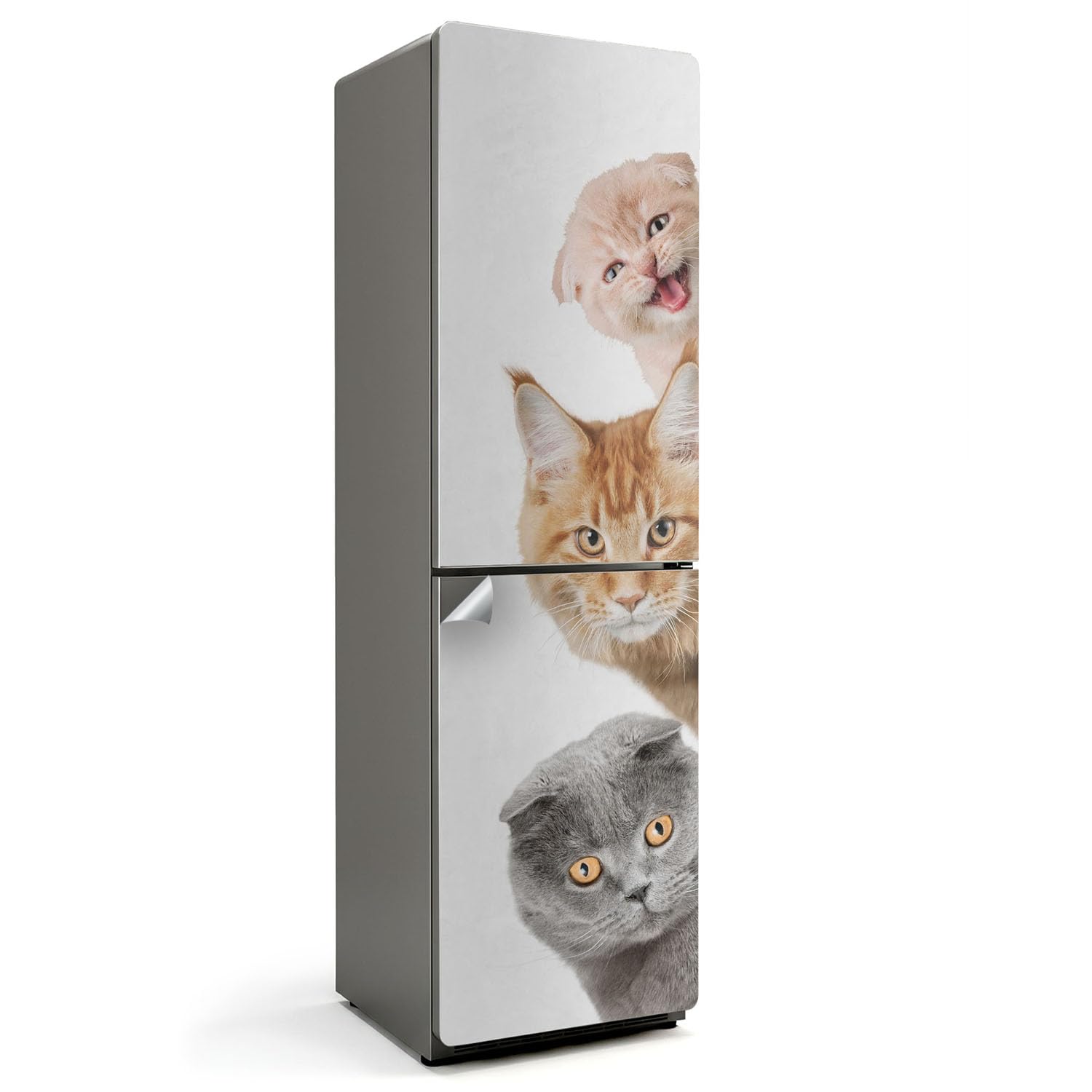 Stickers pour Réfrigérateur 60x205 cm : Masquez les Rayures avec ces Chats Auto-adhésifs