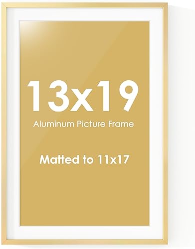 Miniatura 700 de Fun Memories Portarretratos de metal de 16 x 20 pulgadas con paspartú de 11 x 14 pulgadas, acabado de aluminio cepillado, parte delantera de vidrio