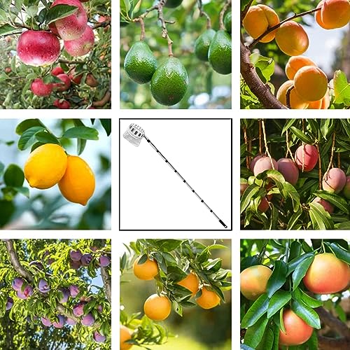 Obstpflücker Diameter 16 cm,3.2M Apfelpflücker, Kirschenpflücker mit Leichter Edelstahl Teleskoppfahl und Baumwollbeutel,Für Die Ernteernte Apfel-Zitrus-Birnen-Pfirsich Usw
