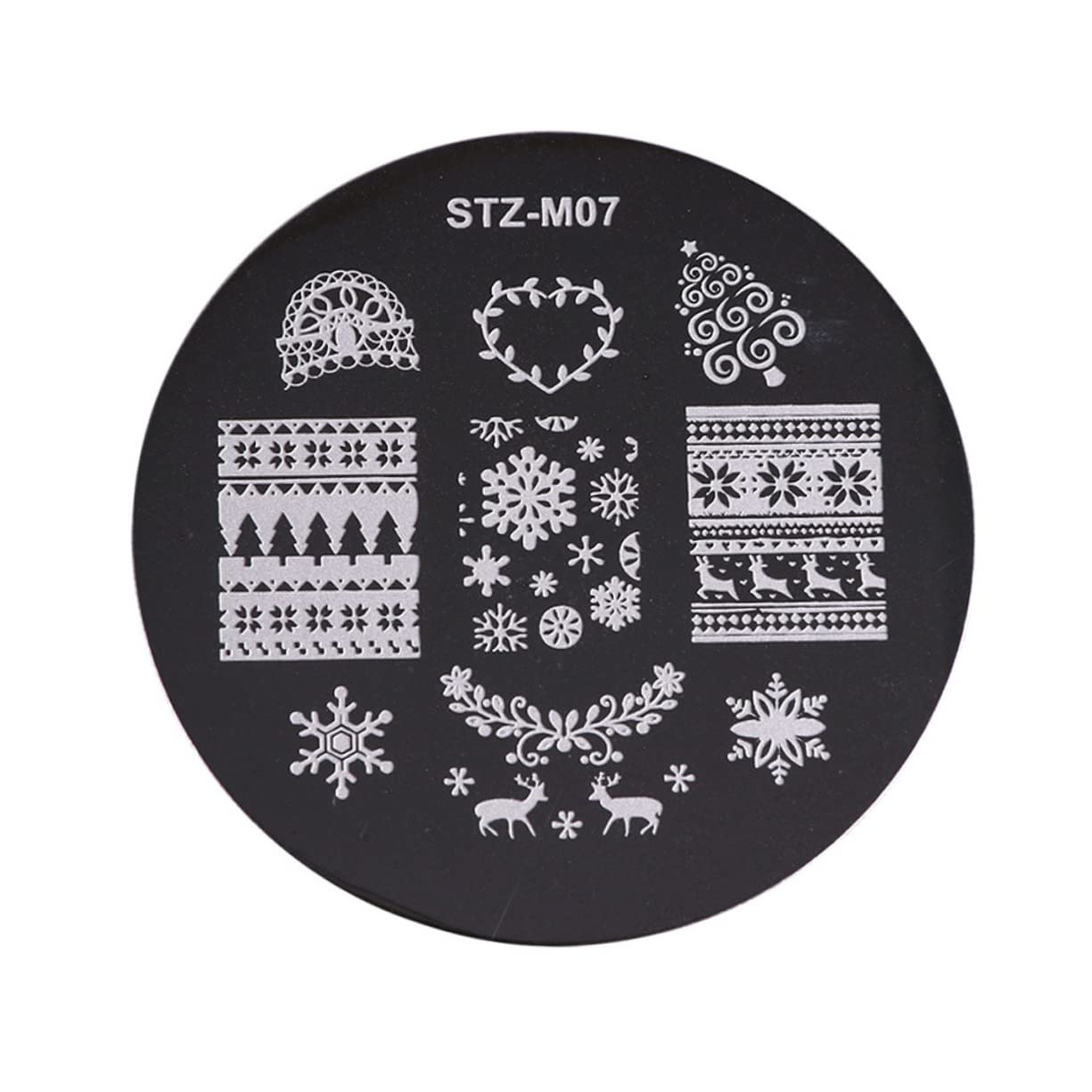POPETPOP 5pezzi Stampo Per Unghie Natalizio Piastra Rotonda Per Stamping Nail Art Kit Stencil Per Unghie Design Elegante in Metallo Lucido